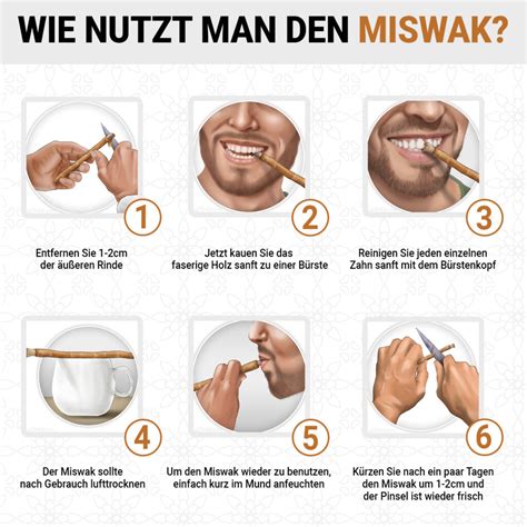 misvav|miswak kaufen.